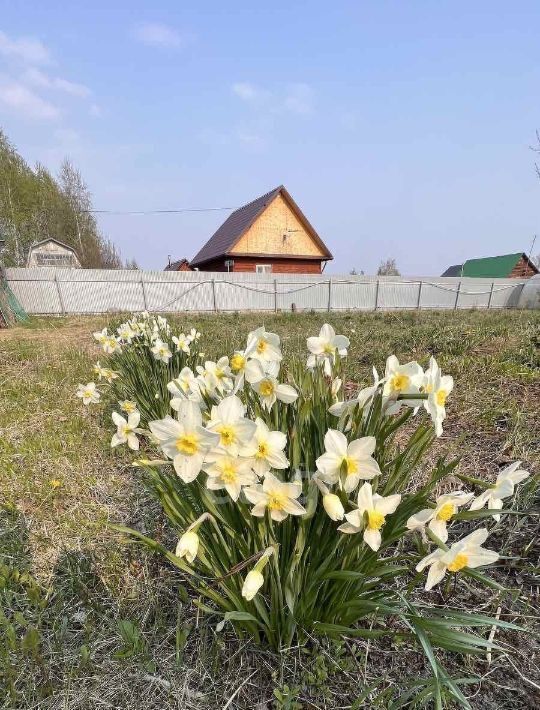 дом р-н Тюменский снт Птицевод ул Дорожная общество, садовое фото 25