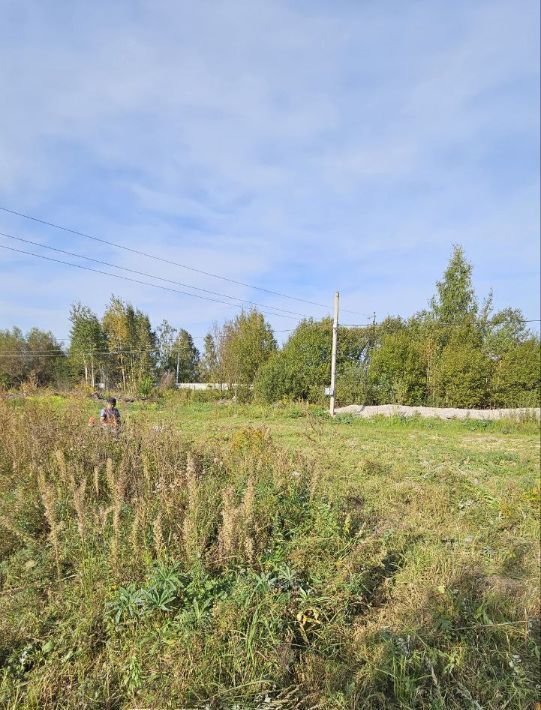 земля городской округ Воскресенск с Михалёво Михалево-4 тер., Ипподром фото 16