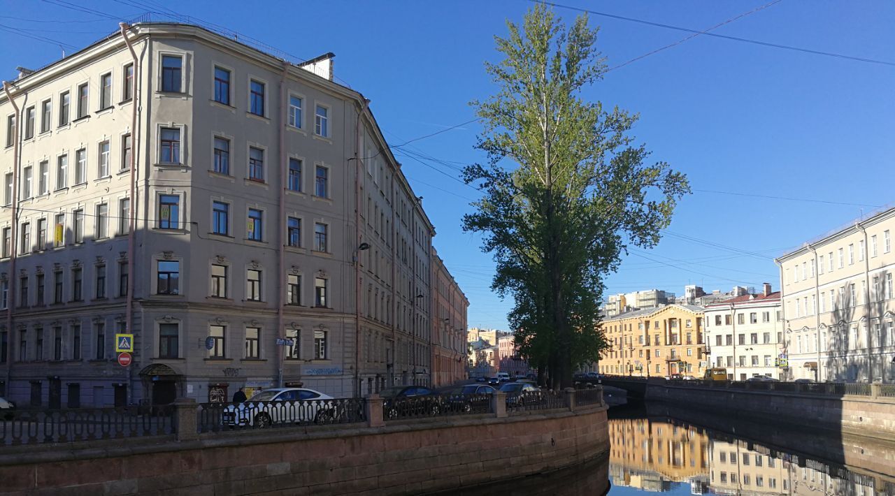 квартира г Санкт-Петербург метро Сенная Площадь пер Спасский 1/46 Сенной округ фото 1