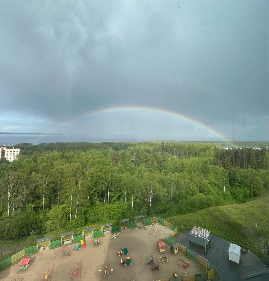 квартира г Петрозаводск р-н Ключевая Ключевая ул Петрова 25 ЖК «Бульвар у Родников» фото 15