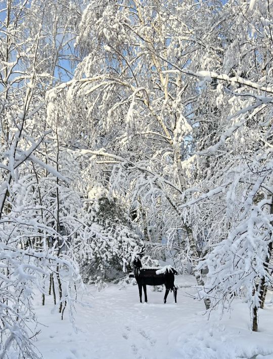 дом городской округ Павловский Посад Ефимовский Лес ДНП, 3 фото 3