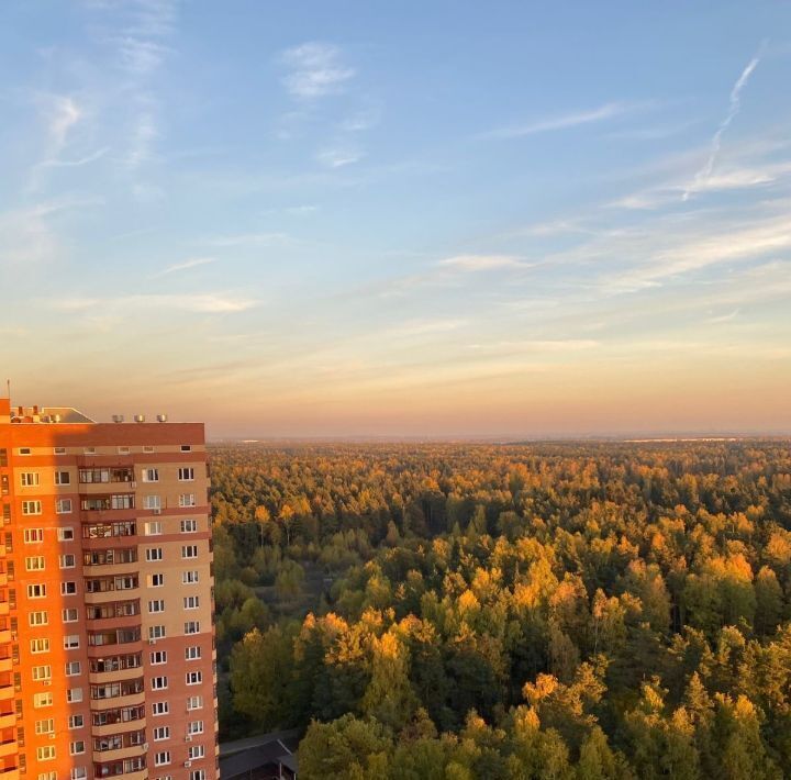 квартира городской округ Богородский д Щемилово ул Орлова 8 микрорайон «Новое Бисерово» Ольгино фото 4