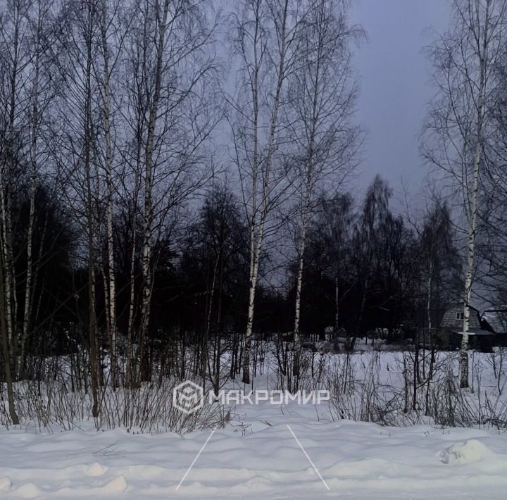 земля городской округ Можайский д Денисьево фото 2