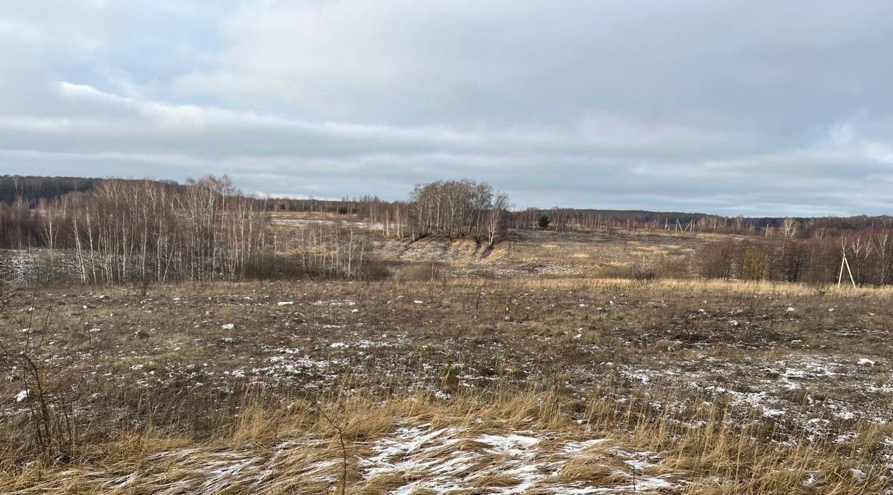 офис городской округ Серпухов д Каргашино фото 1