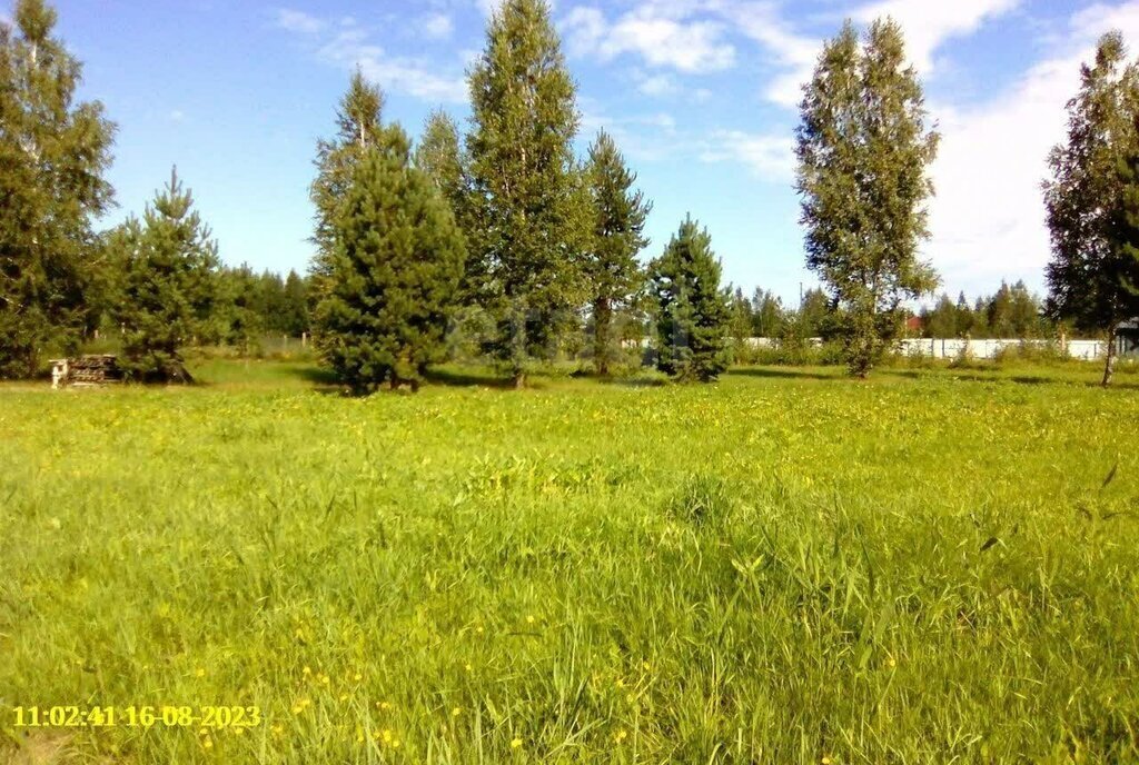 дом р-н Тюменский д Головина Онохинское сельское поселение фото 8