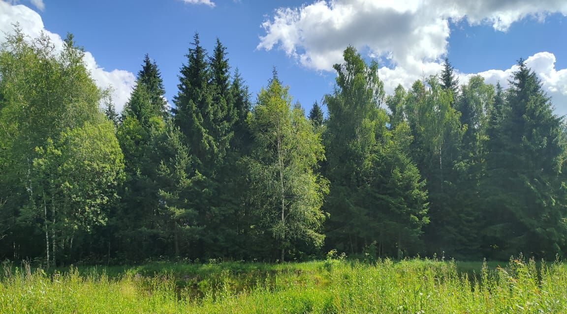 земля городской округ Раменский Гжельский лес кп фото 1