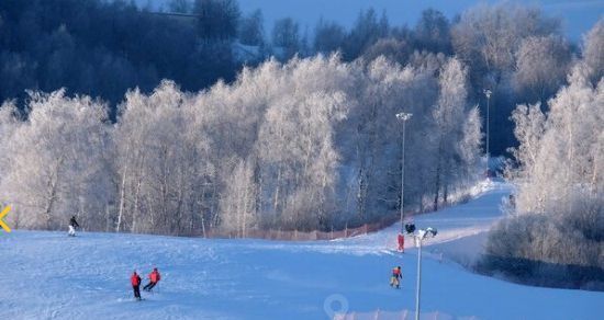 земля р-н Богородский д Трестьяны ул Цветочная 24 фото 10