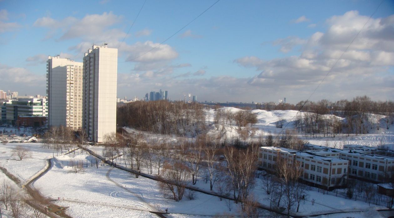 квартира г Москва метро Крылатское ул Крылатская 29к/2 муниципальный округ Крылатское фото 2