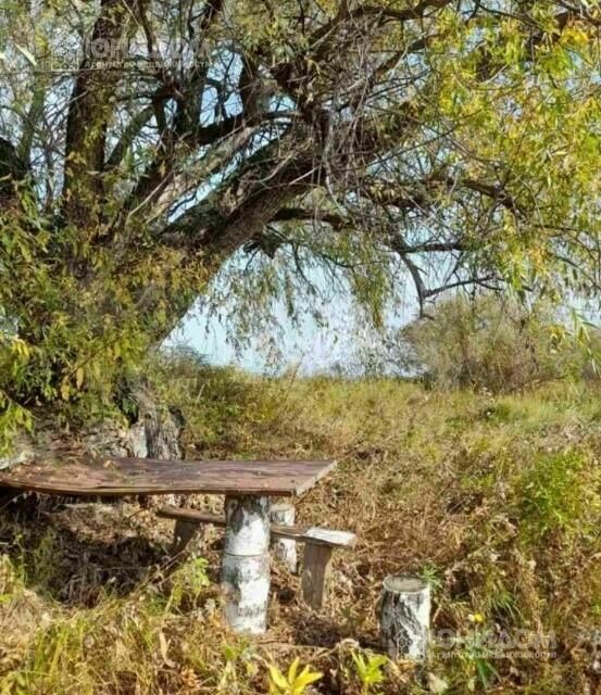 земля р-н Ялуторовский с Памятное ул Березовая Памятнинское сельское поселение фото 5