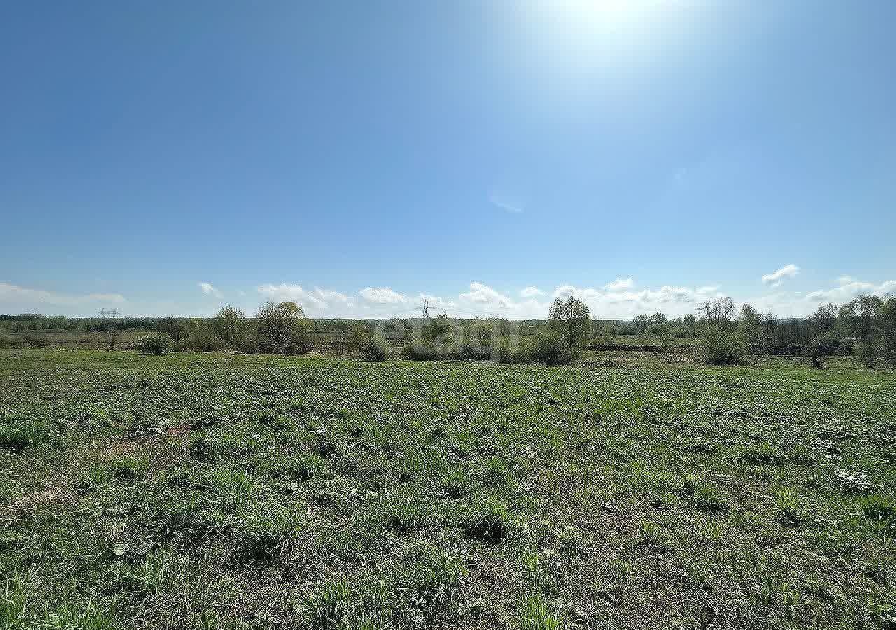 земля р-н Богородский д Килелей Буревестник фото 1