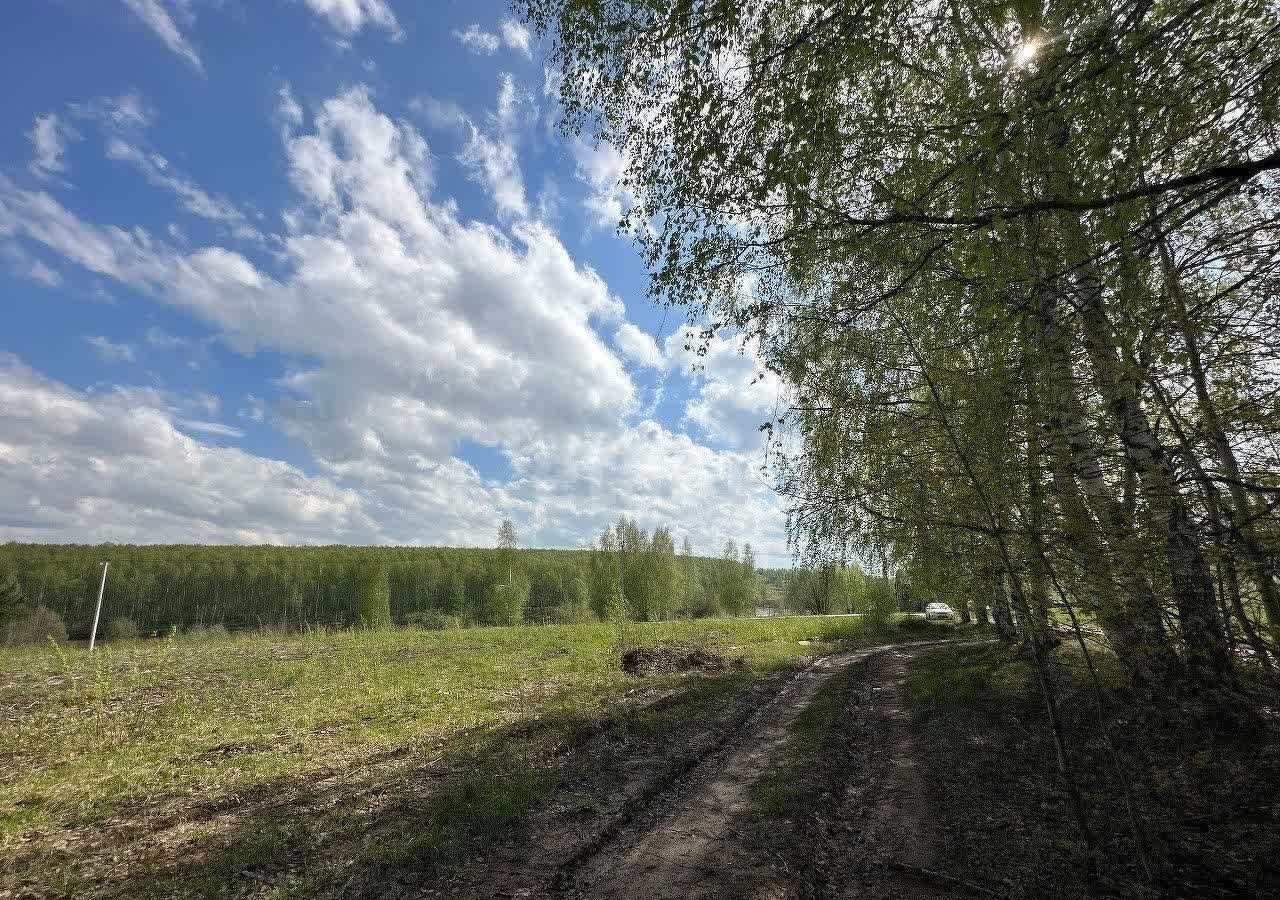 земля р-н Богородский д Килелей Буревестник фото 6