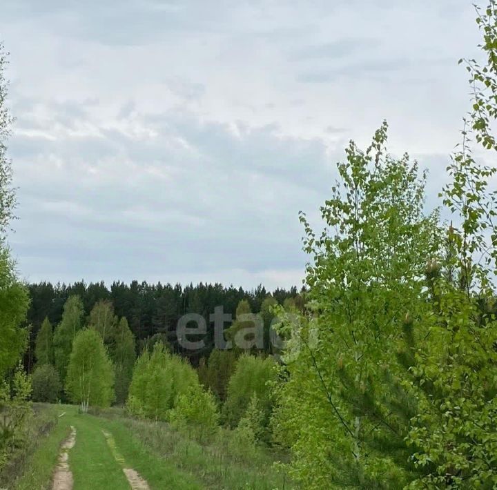 земля р-н Кемеровский д Жургавань ул Центральная фото 1