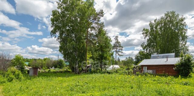 снт Строитель Барышевский сельсовет фото