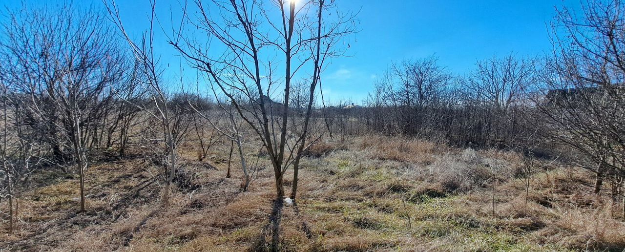 земля р-н Лабинский х Заря Мира ул Зеленая Лабинское городское поселение, Лабинск фото 3