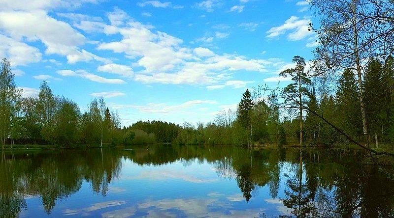 дом р-н Всеволожский д Вартемяги ул Авиаторов 4 Агалатовское с/пос фото 33