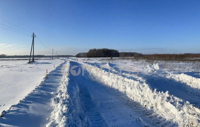 с Горьковка Горьковское муниципальное образование, Тюмень фото