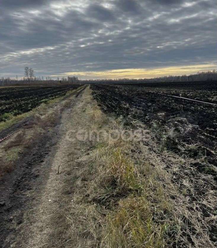 земля р-н Тюменский с Горьковка Горьковское муниципальное образование, Тюмень фото 11