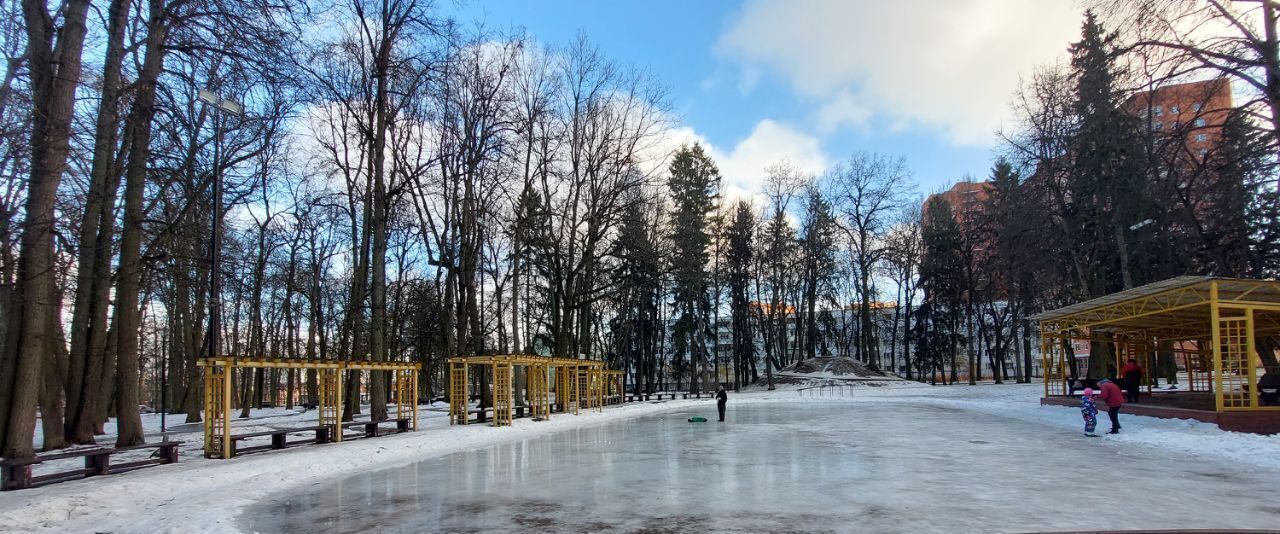 квартира г Москва ТиНАО Троицк Парковый переулок, 1, Московская область, городской округ Истра, Троицк фото 27