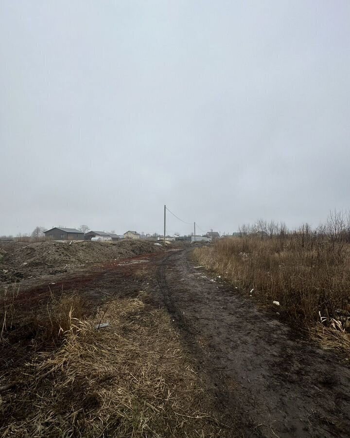 земля р-н Новоусманский с Бабяково Бабяковское сельское поселение, Воронеж фото 3