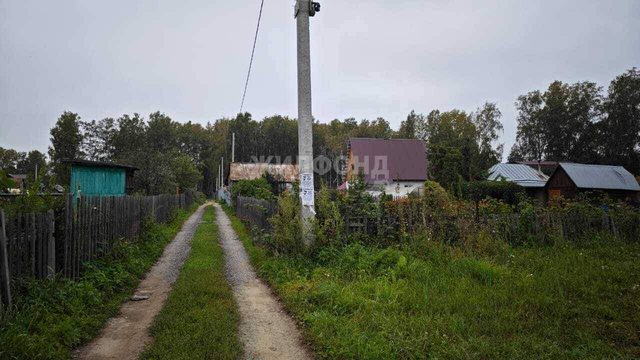 Заельцовская, д. Заря-1 фото