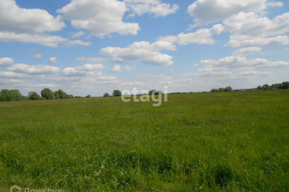 земля городской округ Барнаул, посёлок Черницк фото 3