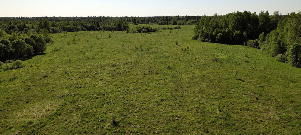 земля городской округ Рузский фото 6