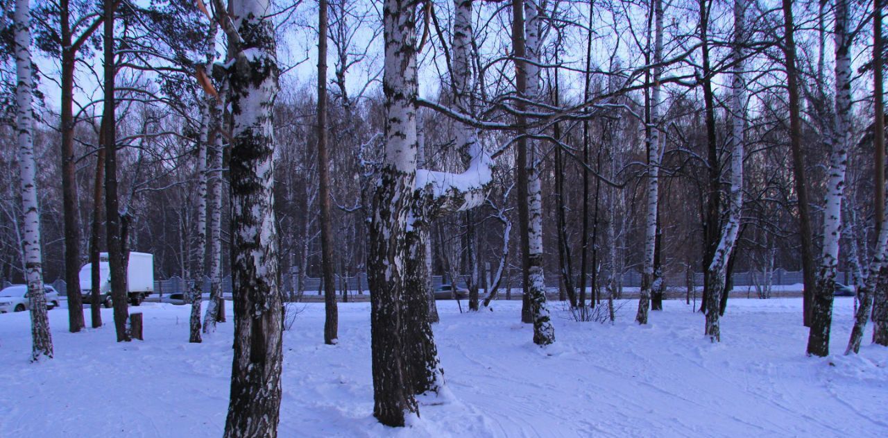 квартира г Екатеринбург р-н Кировский Динамо пер Шадринский 18 фото 15