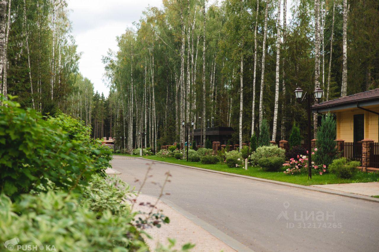 земля городской округ Рузский с Рождествено ул Магистральная 5 Сычево фото 6