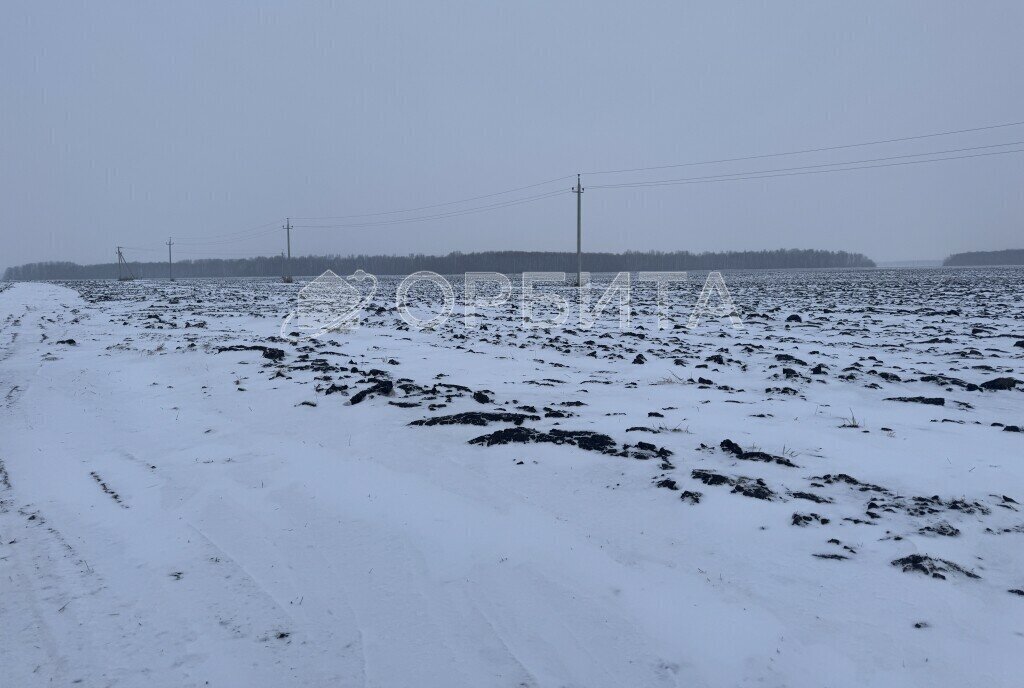 земля г Заводоуковск Южный улица Сергея Захарова фото 5