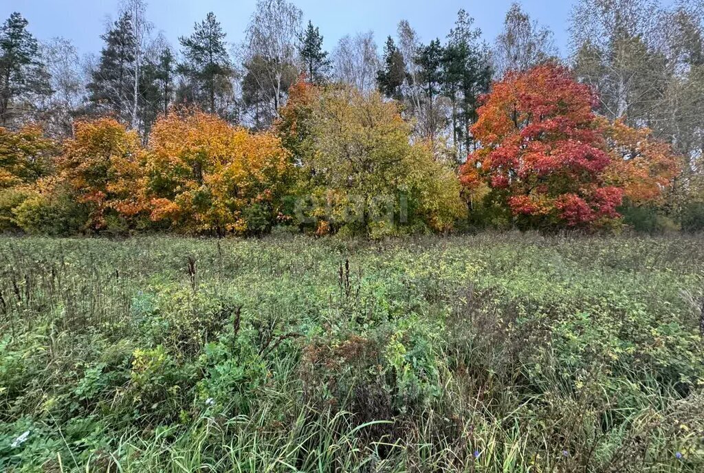 земля р-н Богородский д Бурцево ул Отрадное Парк Культуры фото 7