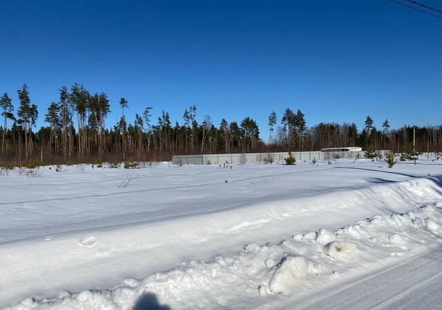 36 км, Домодедово, Новокаширское шоссе фото