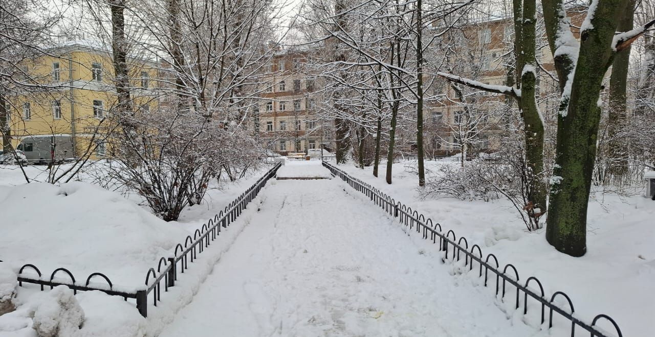 квартира г Санкт-Петербург метро Петроградская пр-кт Каменноостровский 64и округ Чкаловское фото 13