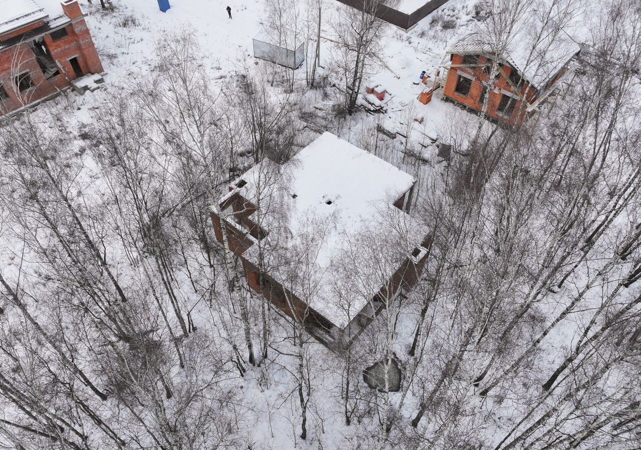 дом городской округ Богородский г Электроугли мкр Светлый ул Цветочная 21 км, Носовихинское шоссе фото 7