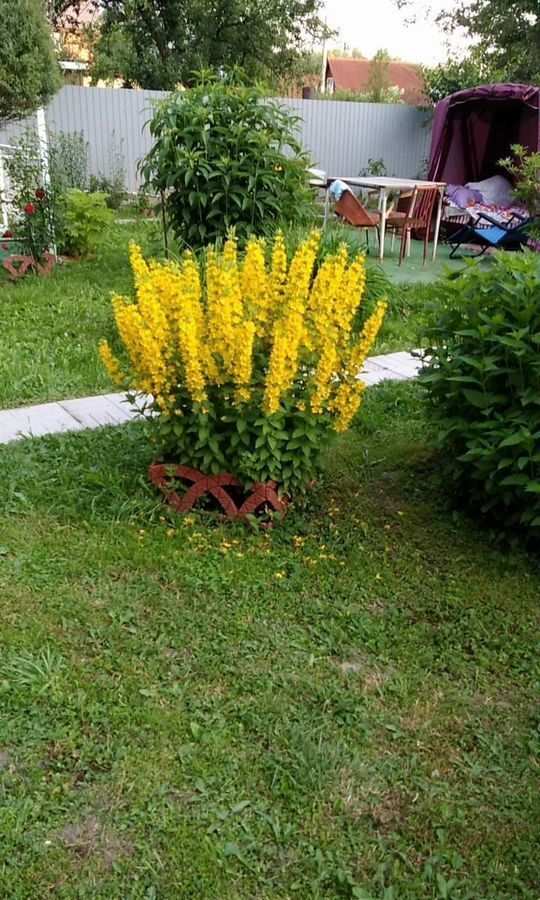 дом городской округ Чехов 42 км, НСТ Слепушкино, 119, Симферопольское шоссе фото 7