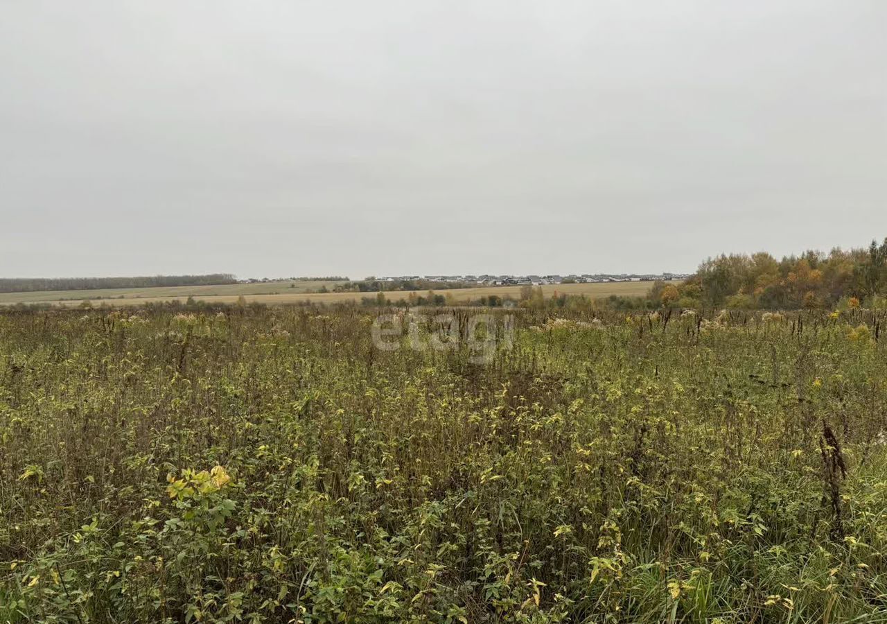 земля р-н Богородский д Крутец (Доскинский сельсовет) Буревестник фото 2