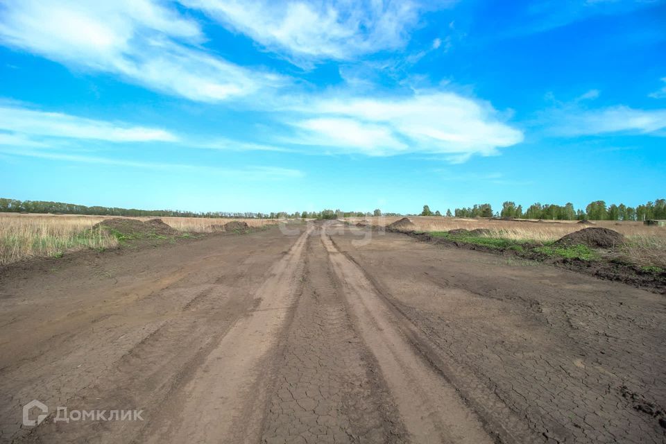 земля р-н Первомайский п Новый микрорайон Александрова слобода фото 1