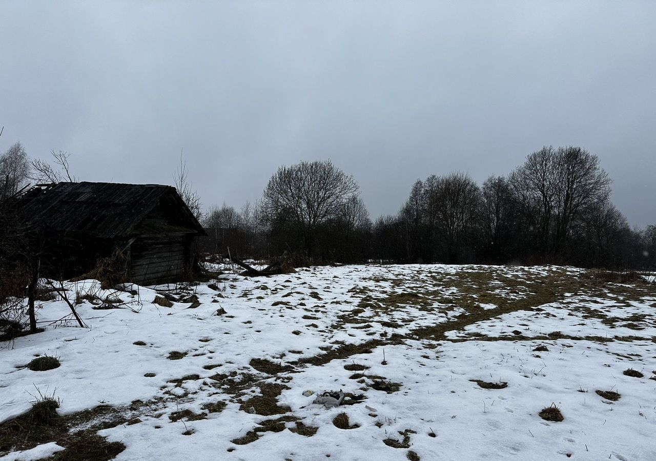 земля р-н Жарковский п Новоселки Центральная ул., 23А, Нелидовский муниципальный округ, Нелидово фото 4