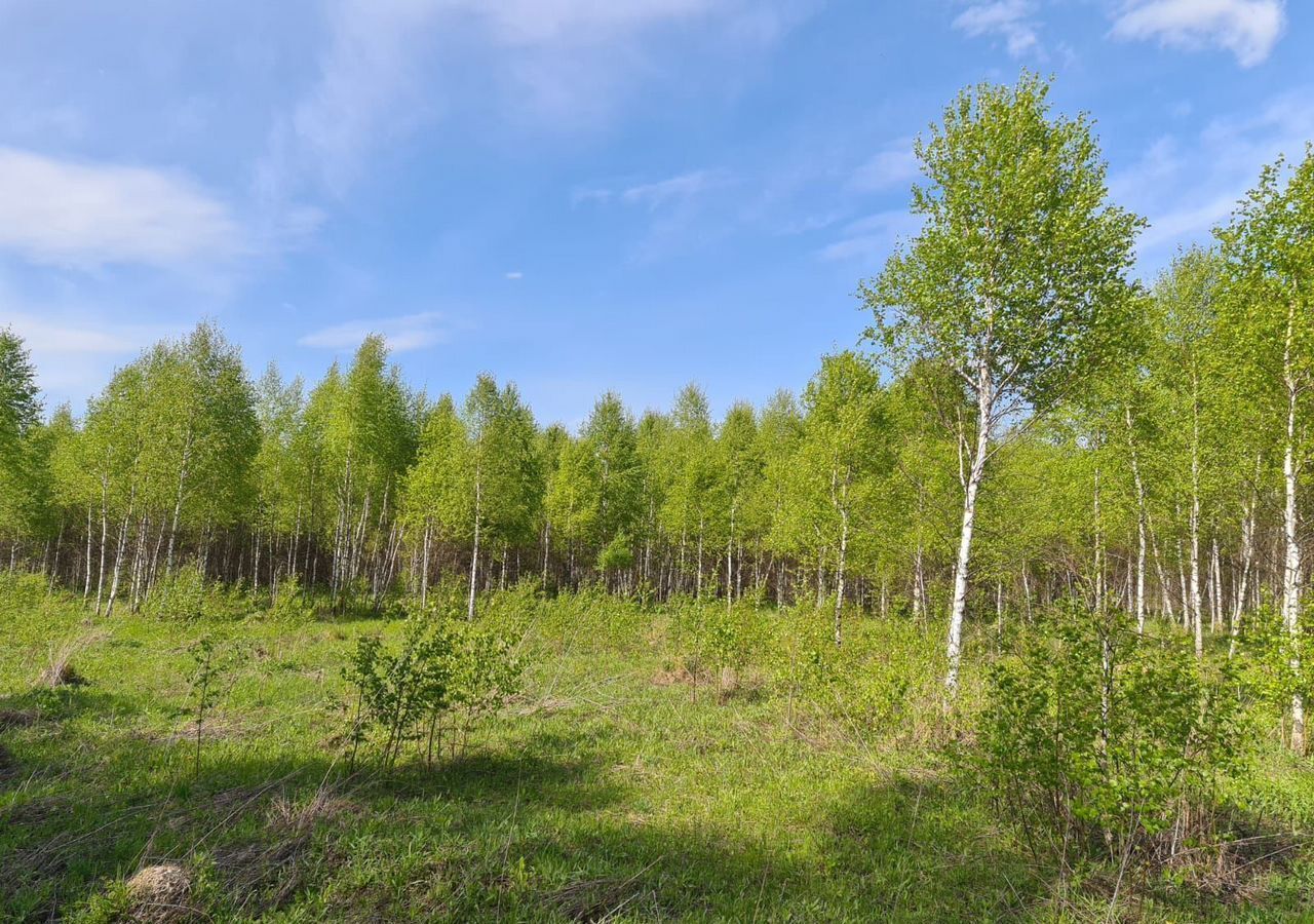 земля р-н Белевский д Песковатое сельское поселение Правобережное, Белев фото 1