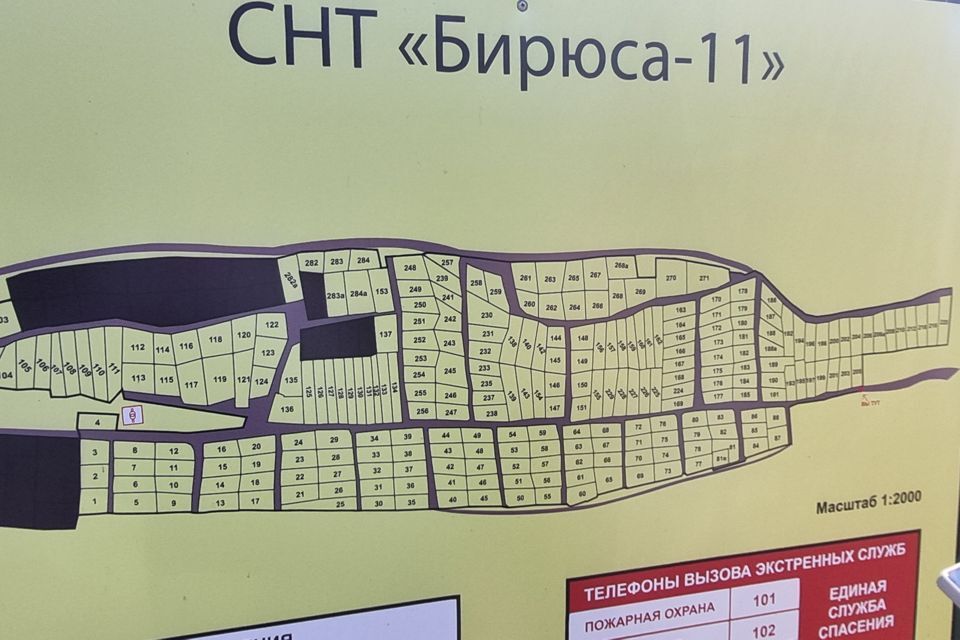 земля р-н Березовский СНТ Бирюса-11 фото 1