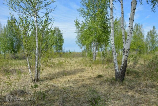 снт Агросад-Тюмень Тюмень городской округ фото