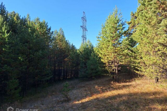 снт Джойка ул Сливовая городской округ Минусинск фото