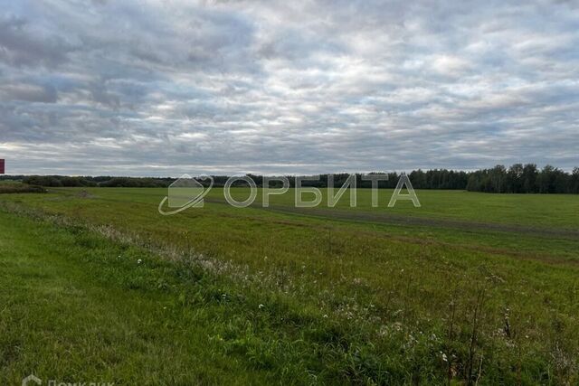 пл Центральная Тюмень городской округ фото