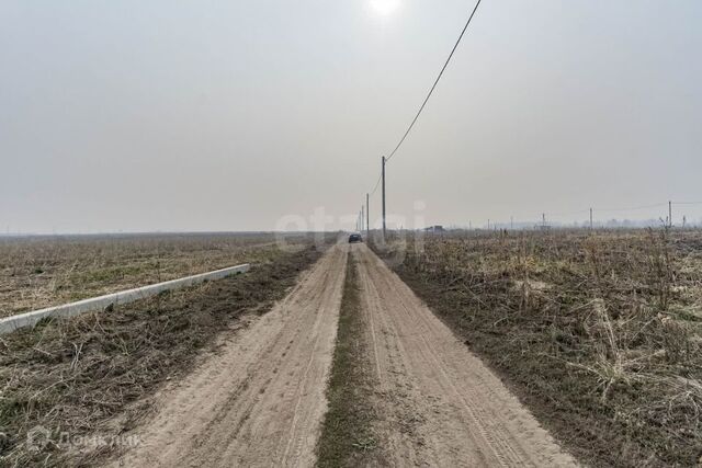 Тюмень городской округ, ТОО Ембаевское фото