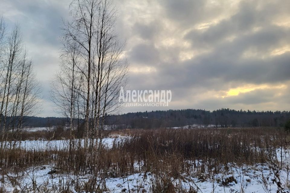 земля р-н Лахденпохский пос. Уусикюля фото 6