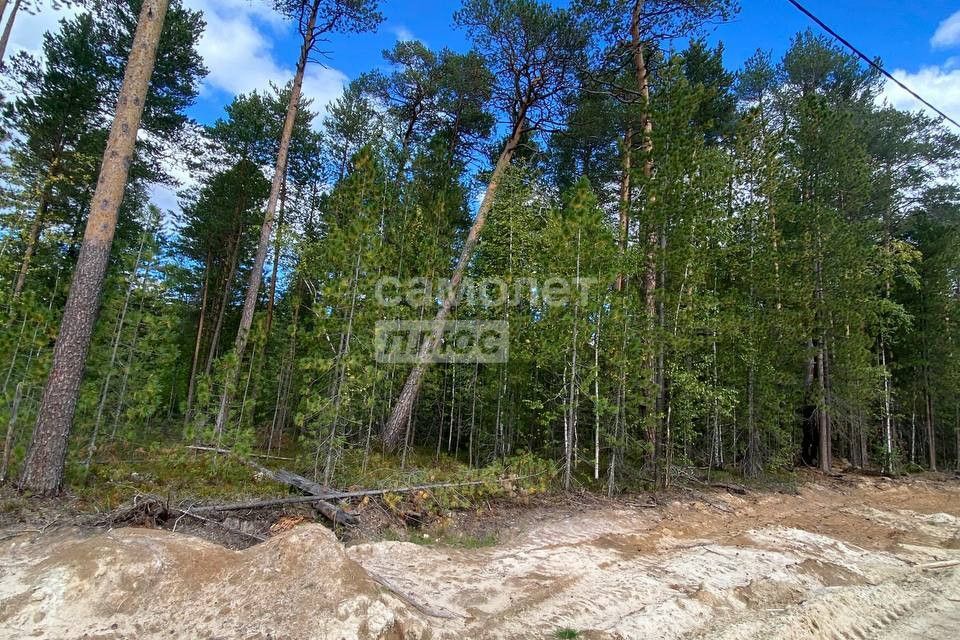 земля г Ханты-Мансийск снт Маяк ул Сургутская Сургут городской округ фото 1