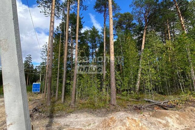 земля снт Маяк ул Сургутская 21 Сургут городской округ фото