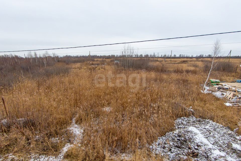 земля г Тюмень днт Березка-3 Тюмень городской округ, 28-я Берёзка-3 с/о фото 10