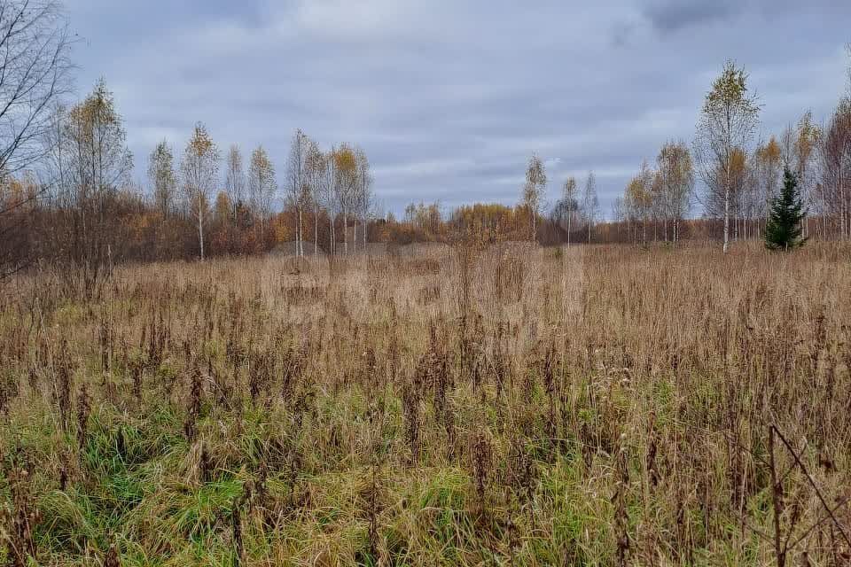 земля р-н Шарьинский г Шарья д Алешунино ул Луговая 11 фото 1