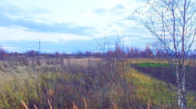 земля Переславль-Залесский городской округ фото