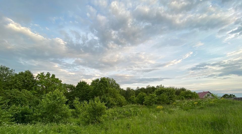 земля р-н Переславский д Криушкино Переславль-Залесский городской округ фото 9